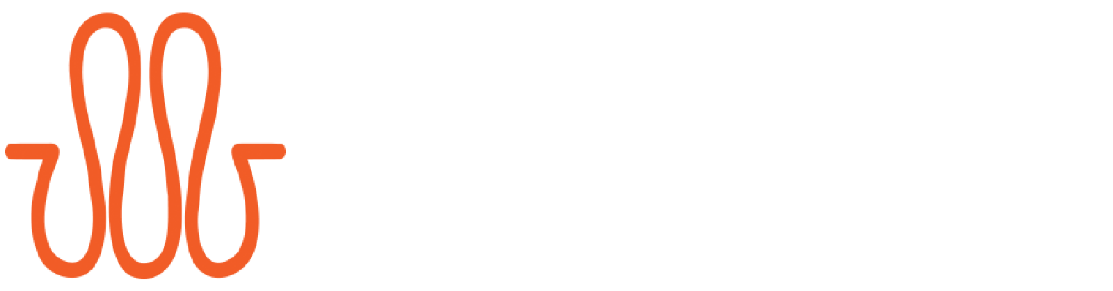 SS Engineers Logo